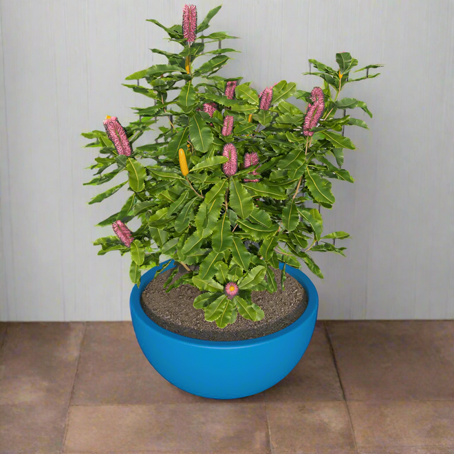 Iris Fiberstone Planter in Blue 9 Dia