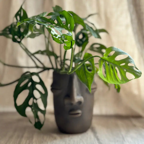 Oaxacan Tribal Face Glass Cup or Planter Vase