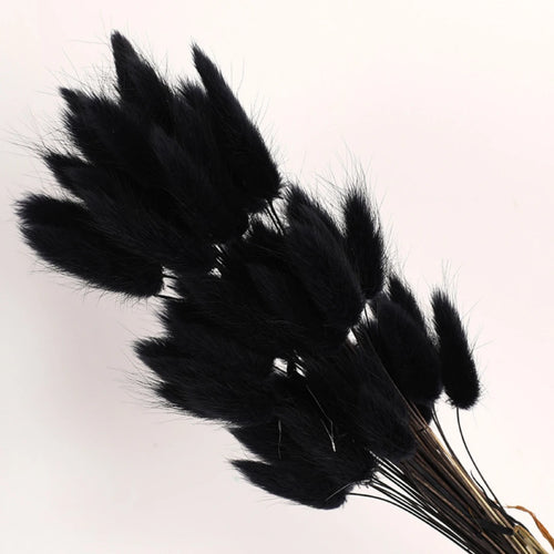 Natural Dried Bunny Tail Pampas Grass 60Pcs Fluffy Bouquet - The Finishing Touch Decor