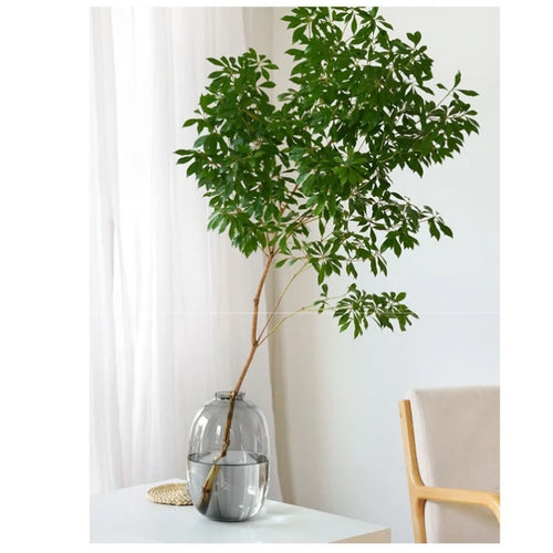 Minimalist Clear, Smoke, Brown Glass Rounded Bulb Vases - The Finishing Touch Decor