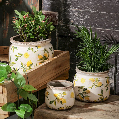 Retro Lemon Printing Underglaze Color Flower Pot