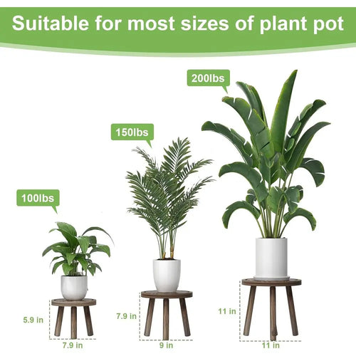 Indoor set of three small wooden plant stands or stools, stylish and functional home decor by The Finishing Touch Decor.
