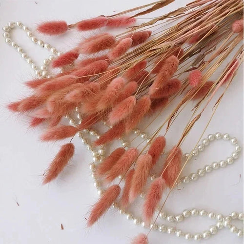 Natural Dried Bunny Tail Pampas Grass 60Pcs Fluffy Bouquet - The Finishing Touch Decor