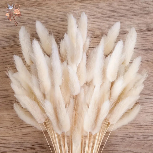 Natural Dried Bunny Tail Pampas Grass 60Pcs Fluffy Bouquet - The Finishing Touch Decor