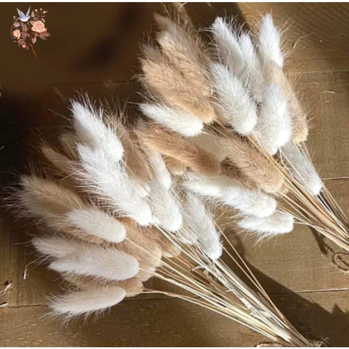 Natural Dried Bunny Tail Pampas Grass 60Pcs Fluffy Bouquet - The Finishing Touch Decor