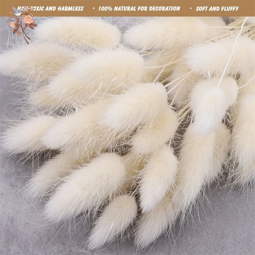 Natural Dried Bunny Tail Pampas Grass 60Pcs Fluffy Bouquet - The Finishing Touch Decor