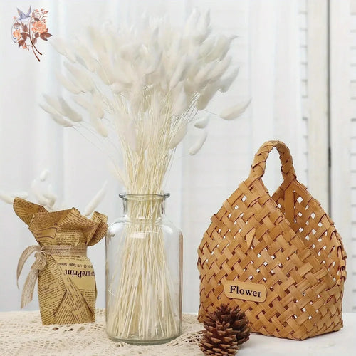 Natural Dried Bunny Tail Pampas Grass 60Pcs Fluffy Bouquet - The Finishing Touch Decor