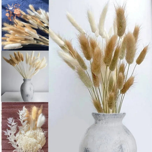 Natural Dried Bunny Tail Pampas Grass 60Pcs Fluffy Bouquet - The Finishing Touch Decor