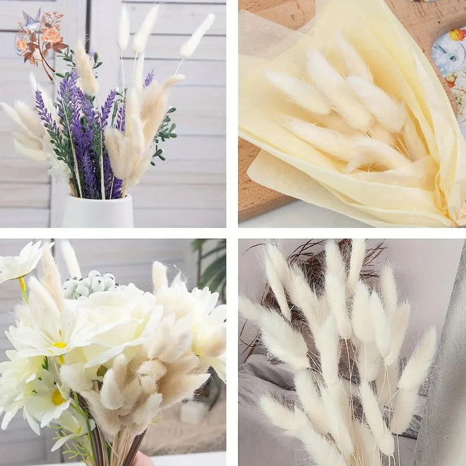 Natural Dried Bunny Tail Pampas Grass 60Pcs Fluffy Bouquet - The Finishing Touch Decor