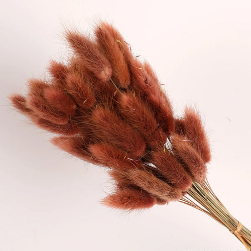 Natural Dried Bunny Tail Pampas Grass 60Pcs Fluffy Bouquet - The Finishing Touch Decor