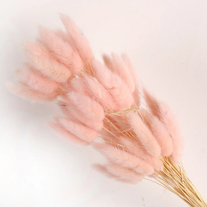 Natural Dried Bunny Tail Pampas Grass 60Pcs Fluffy Bouquet - The Finishing Touch Decor