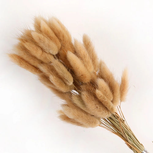 Natural Dried Bunny Tail Pampas Grass 60Pcs Fluffy Bouquet - The Finishing Touch Decor