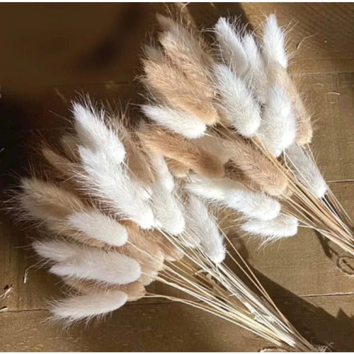 Natural Dried Bunny Tail Pampas Grass 60Pcs Fluffy Bouquet - The Finishing Touch Decor