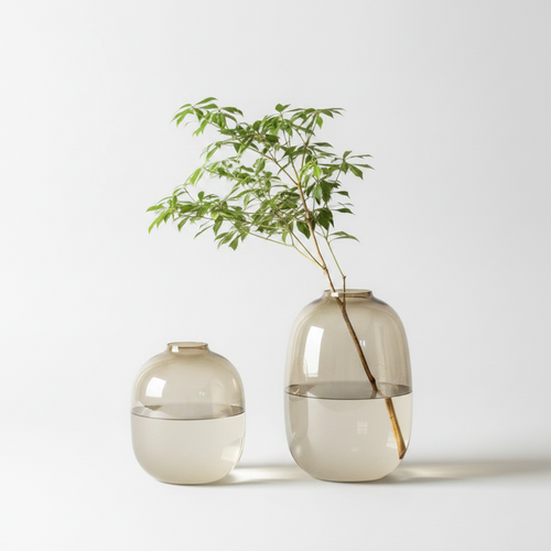 Minimalist Transparent Glass Rounded Bulb Vases