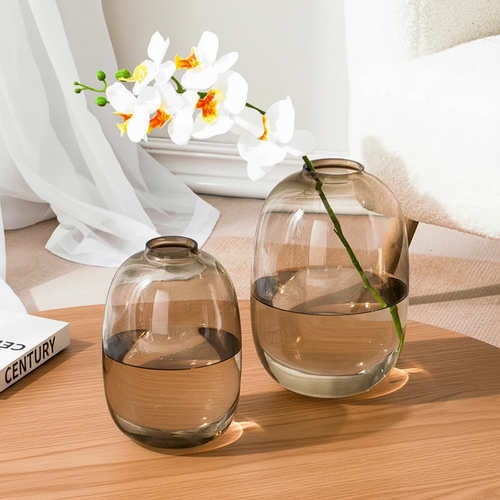 Minimalist Transparent Glass Rounded Bulb Vases
