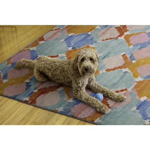 Outdoor/Indoor Aqua & Orange Trellis Print 5X7ft Area Rug - The Finishing Touch Decor