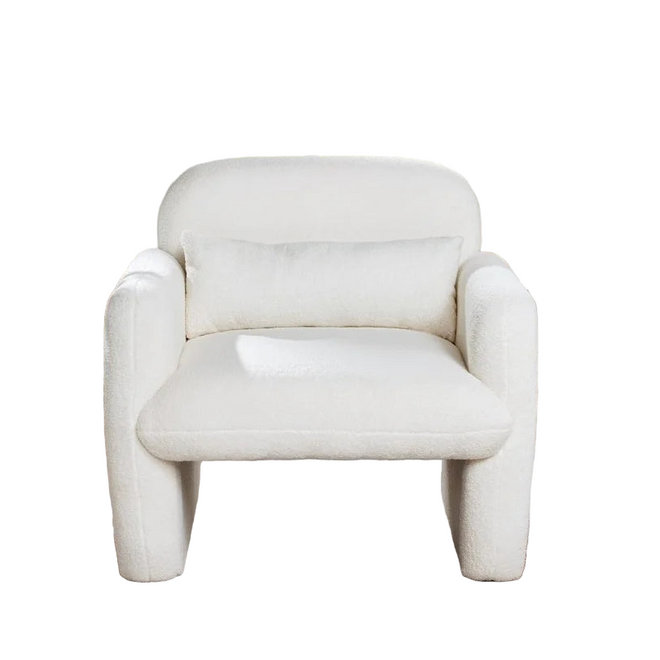 Modern Accent Chair Set of 2 Teddy Fleece Fabric Armchair with a Waist Pillow Comfy Upholstered Leisure Single Sofa Chair for L - The Finishing Touch Decor