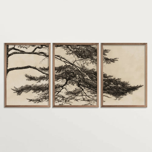 Three framed artworks of trees on a white wall