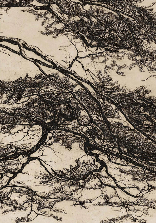 Japandi Pine Tree Branch Canvas Sketch Wall Art Prints - The Finishing Touch Decor