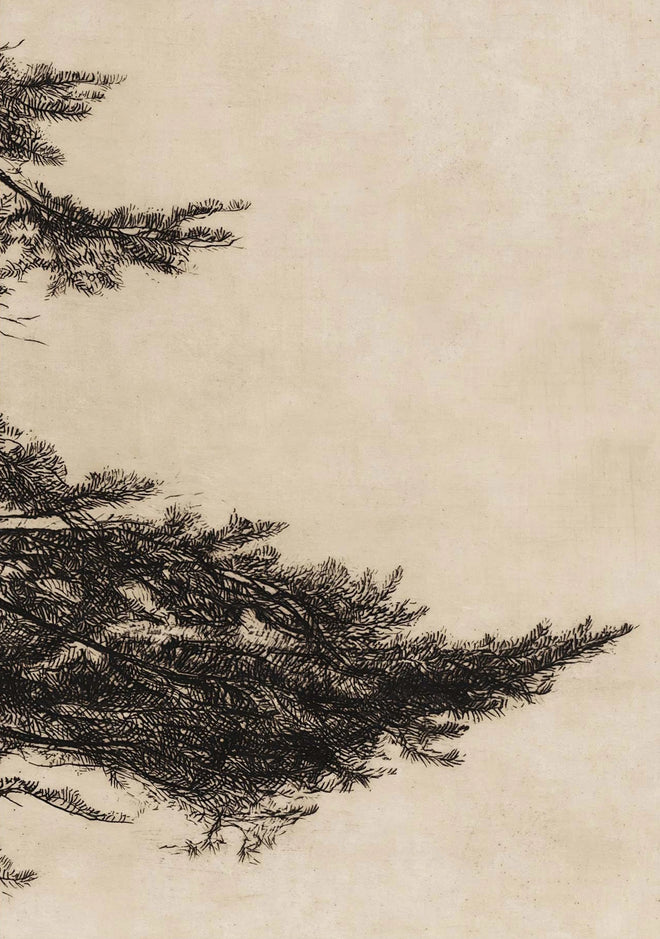 Japandi Pine Tree Branch Canvas Sketch Wall Art Prints - The Finishing Touch Decor
