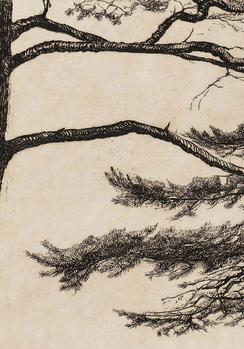 Japandi Pine Tree Branch Canvas Sketch Wall Art Prints - The Finishing Touch Decor