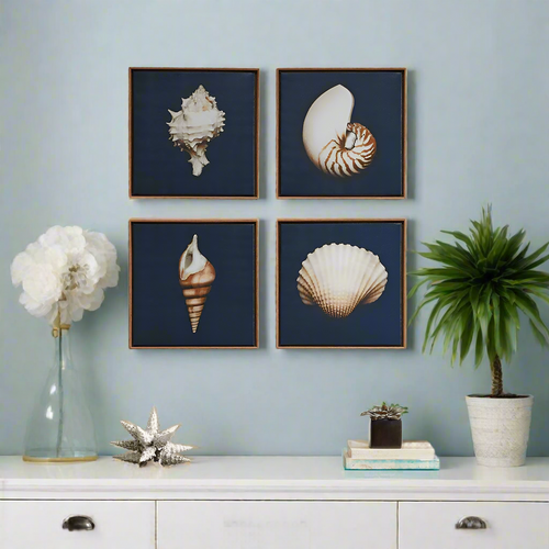 Beach Shell Dramatic Framed Canvas Wall Art Set of 4 - The Finishing Touch Decor
