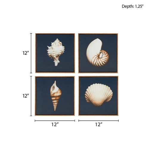 Beach Shell Dramatic Framed Canvas Wall Art Set of 4 - The Finishing Touch Decor