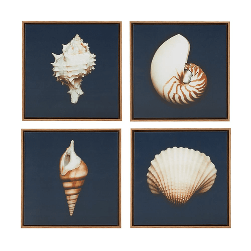 Beach Shell Dramatic Framed Canvas Wall Art Set of 4 - The Finishing Touch Decor