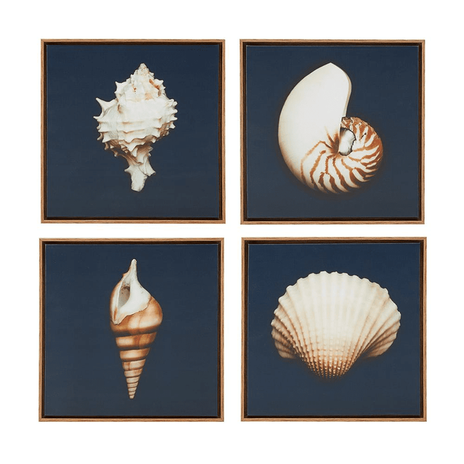 Beach Shell Dramatic Framed Canvas Wall Art Set of 4 - The Finishing Touch Decor