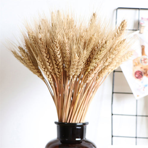 Vase Filler - Natural Wheat Ear Farmhouse Blooming Barley Dried Flower Bouquet - 100ps - The Finishing Touch Decor