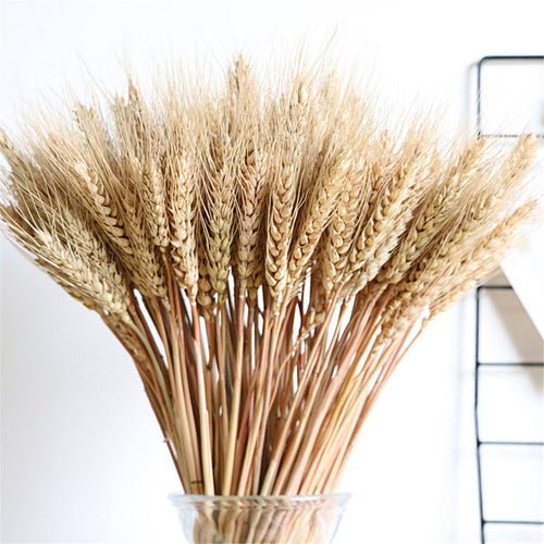 Vase Filler - Natural Wheat Ear Farmhouse Blooming Barley Dried Flower Bouquet - 100ps - The Finishing Touch Decor