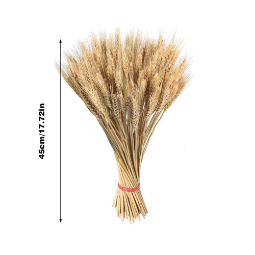 Vase Filler - Natural Wheat Ear Farmhouse Blooming Barley Dried Flower Bouquet - 100ps - The Finishing Touch Decor